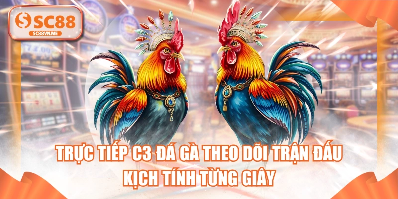 Trực Tiếp C3 Đá Gà Theo Dõi Trận Đấu Kịch Tính Từng Giây